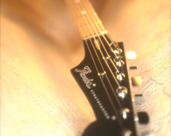 Fender