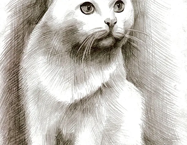 Киса