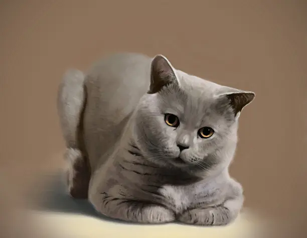 британец