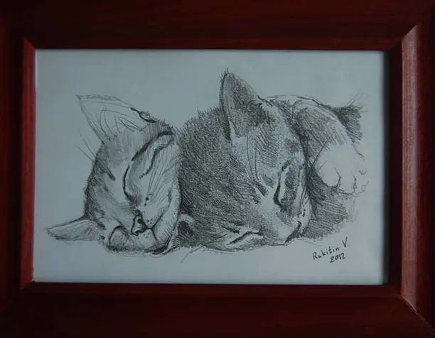 Kitty