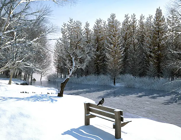 Winter
