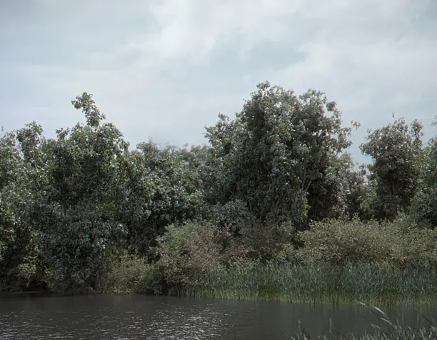 lake