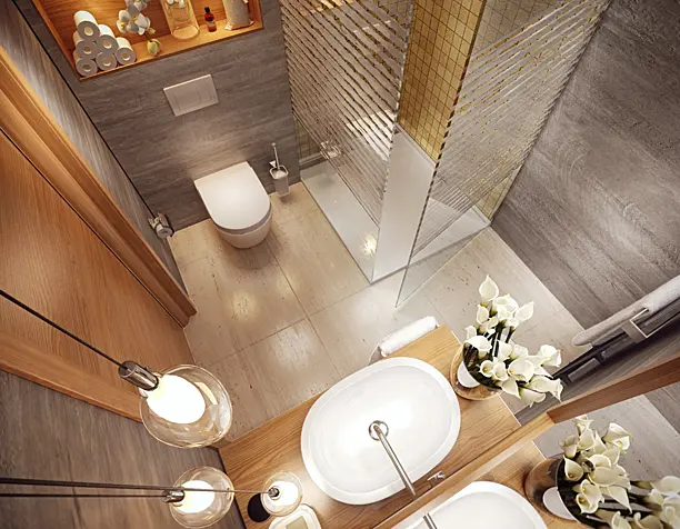 Bathroom viz.