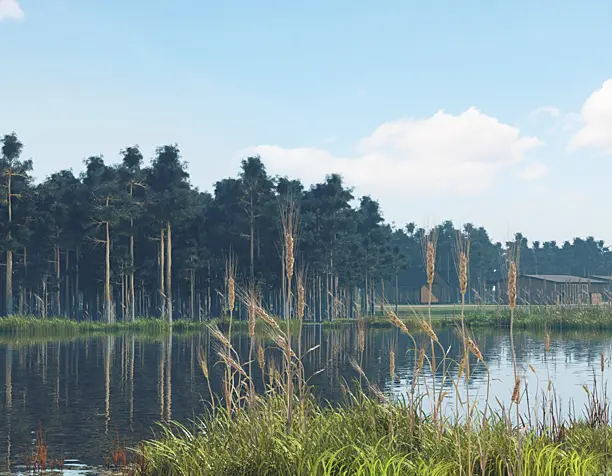 Полдень