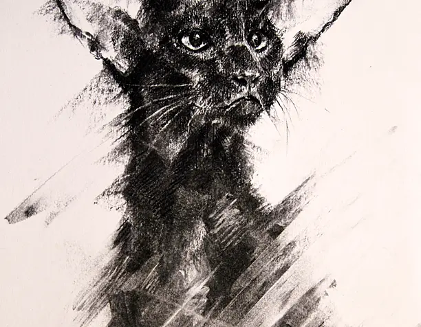 Кот...