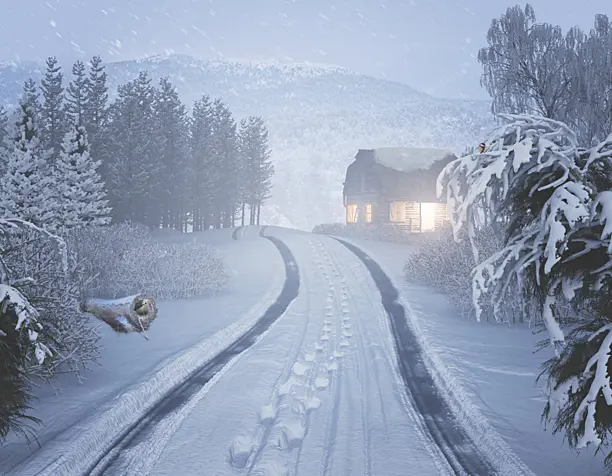 Снежный Лес