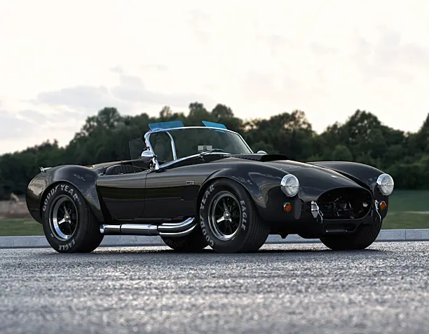 Cobra