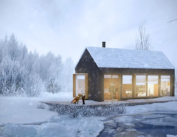 Winter in my house