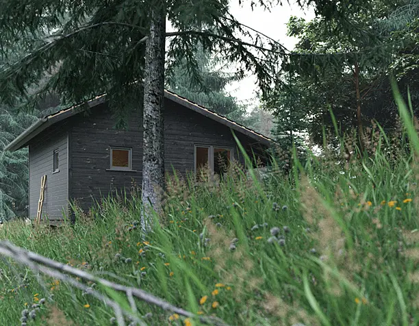 Утро в лесу