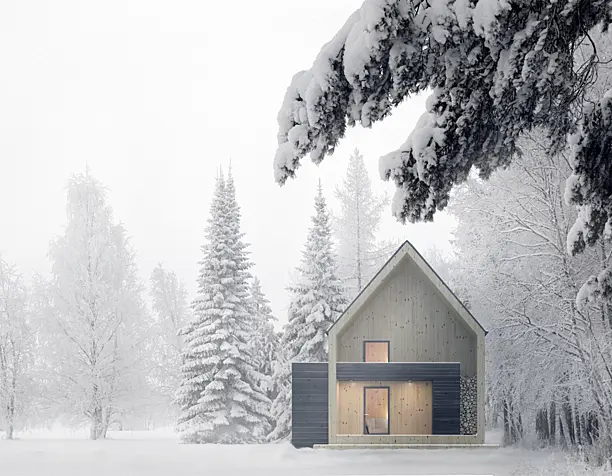 Winter house