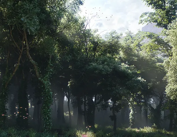 The forest