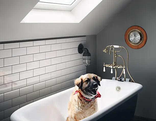 Bath time.