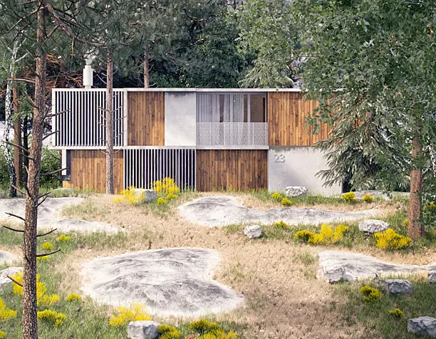 Linear House