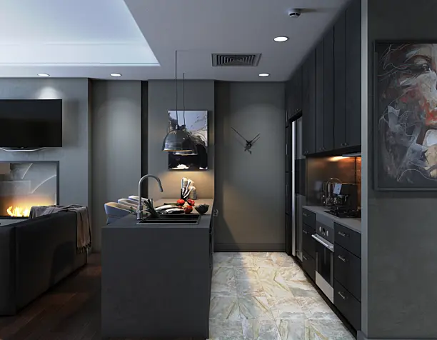 Living room + Kitchen