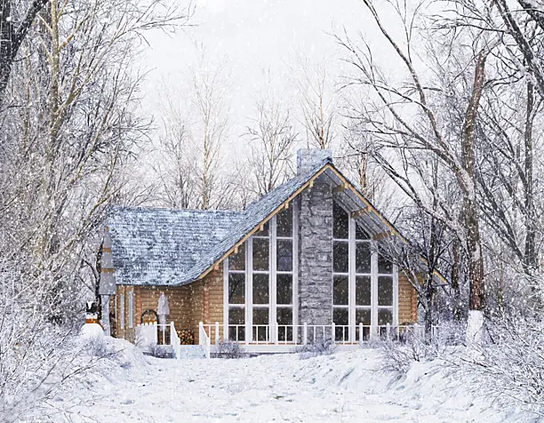 WINTER HOUSE