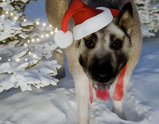 С Новым Годом!