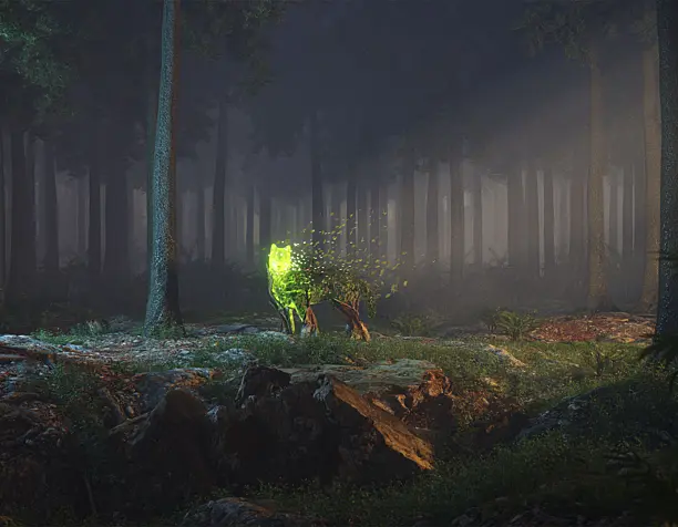 SPIRIT OF THE FOREST