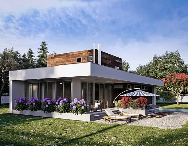 House in borrago