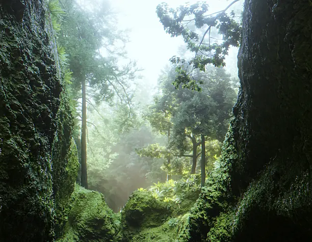 The Forest part 2