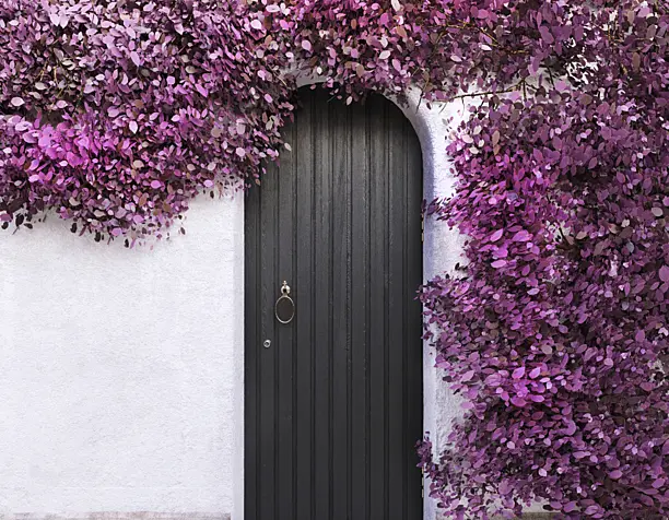 Morocco doorway