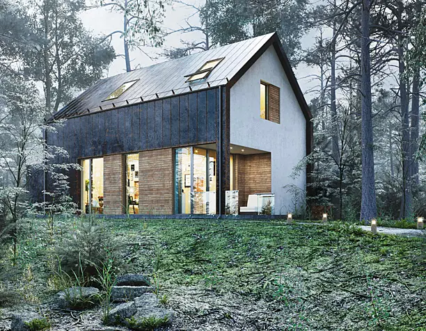Forest house