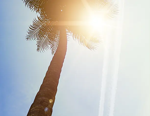 Summer time