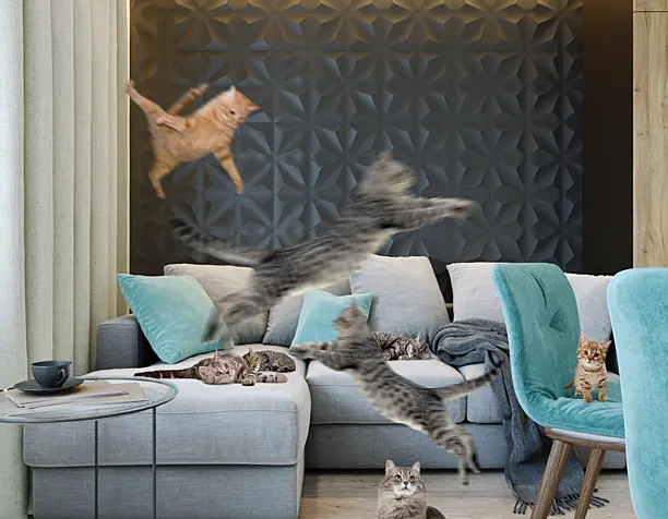 My friend loves cats))