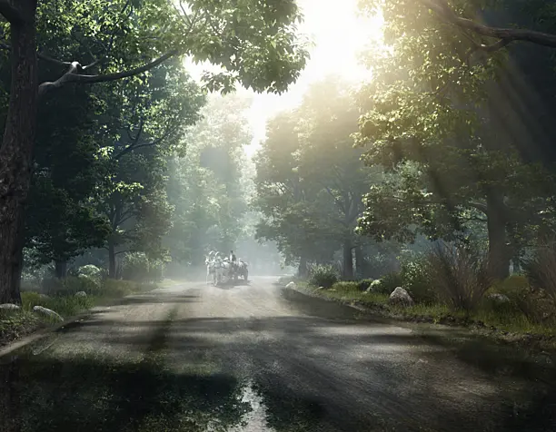 Forest after rain.