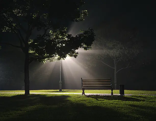 MIDNIGHT LIGHTS