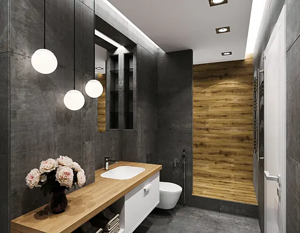 Visualization of the bathroom