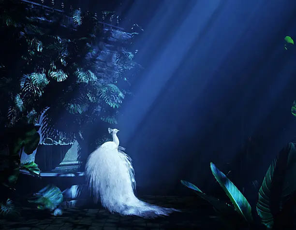 Secret Garden 2.0