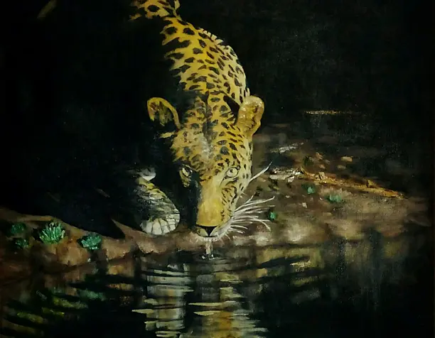 "leopard"