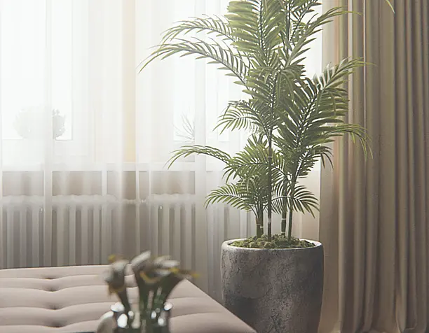 Girl's Flat
