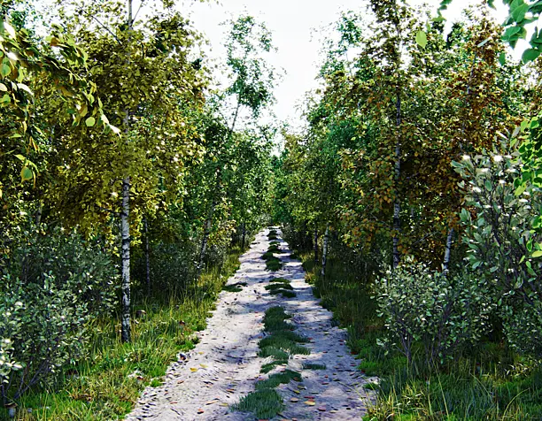 Walk in the forest