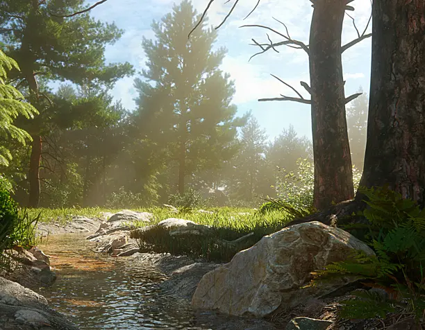 Forest