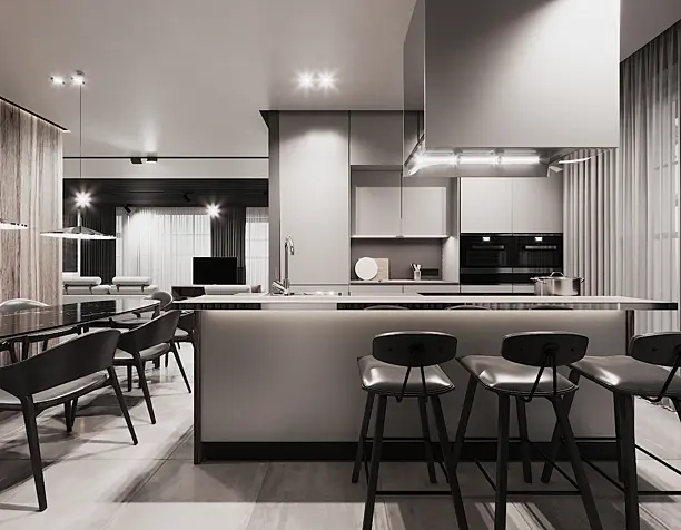 Modern Kitchen