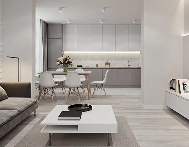 Minimalistic interior design