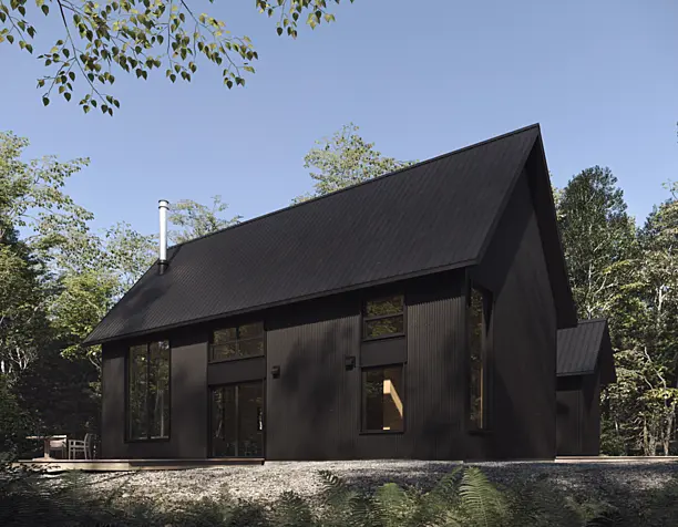 Black cabin (сделано по референсу)