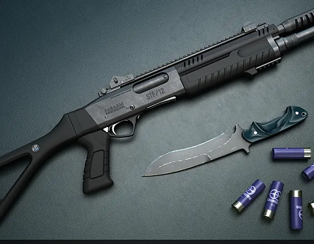 fabarm-stf12-compact and mamba