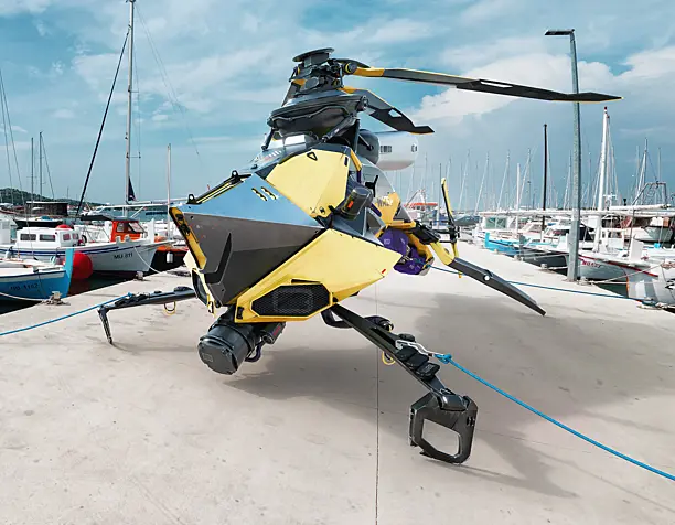 WASP