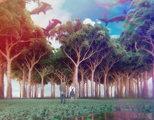 Lucid Dream