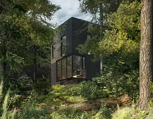 HOUSE IN THE FOREST