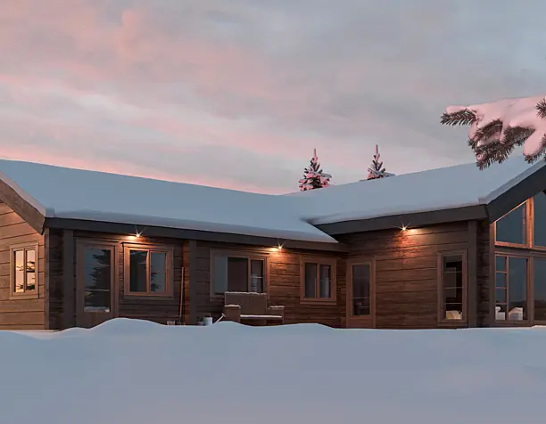 Snow Tree House