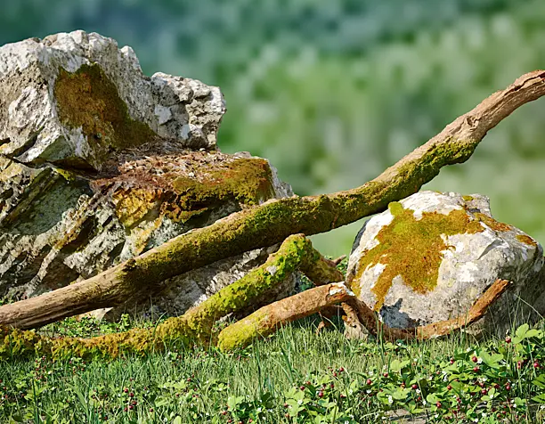 Природа лучший скульптор