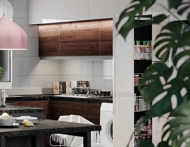 Modern Kitchen