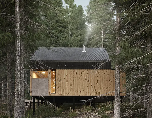 House in the woods (сделано по референсу)