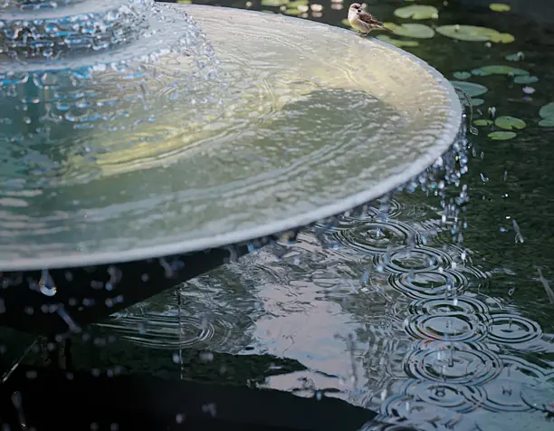 Fountain