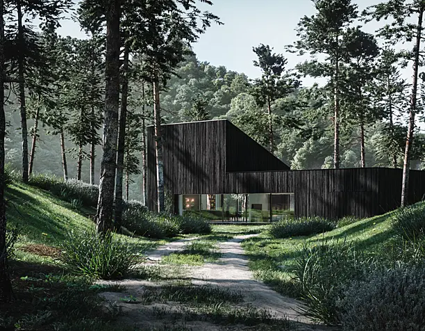 Hidden in Pines