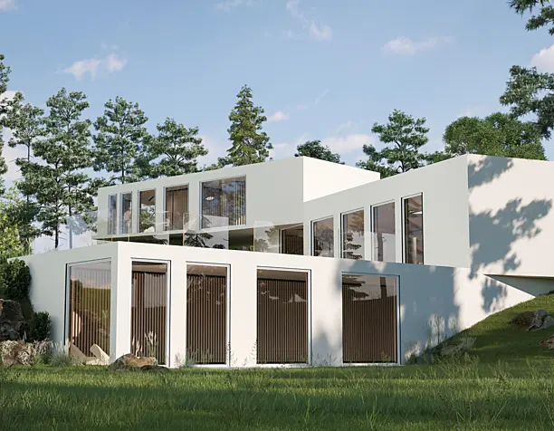House in Lesniki