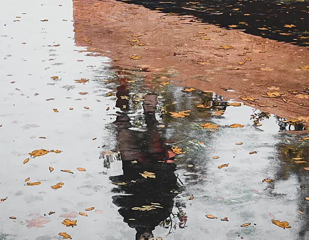 Fall